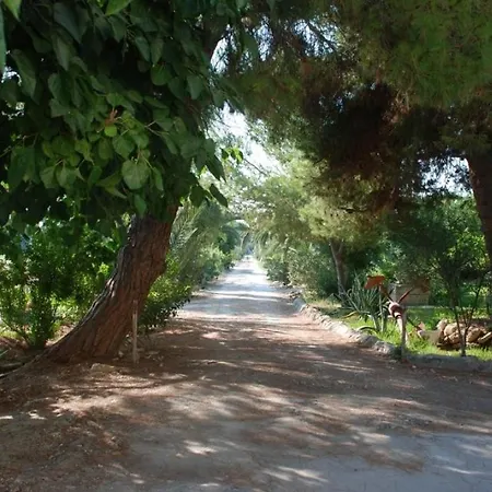 Punta Milocca Sleeps 2 Wifi T764351 Apartament Terrauzza